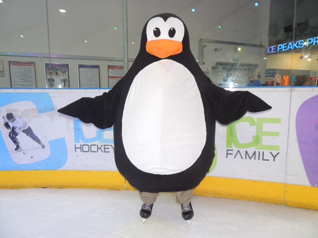 בוחרים Ice Peaks בהיכל הקרח של ישראל, בחולון